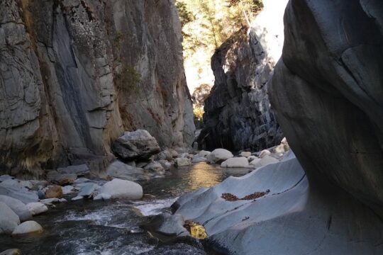 Nager dans une rivière Nager dans une rivière
