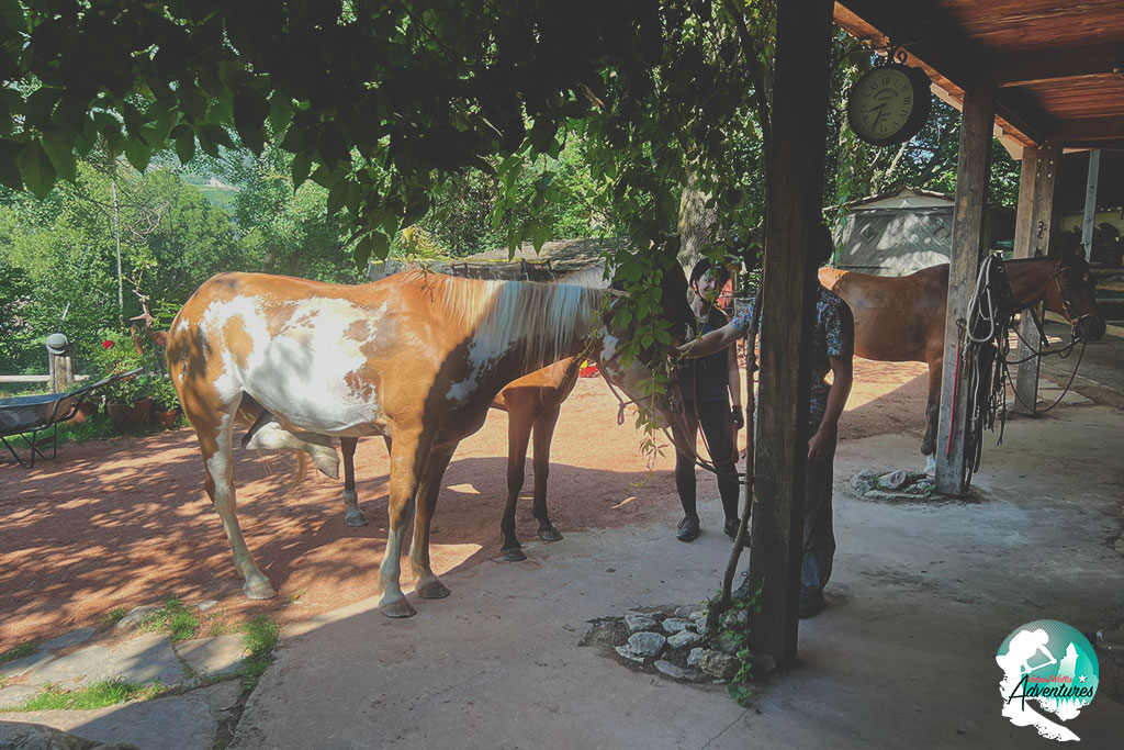Package Rafting et Animaux Package Rafting et Animaux