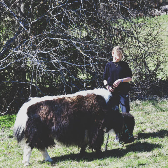 Package Rafting et Animaux