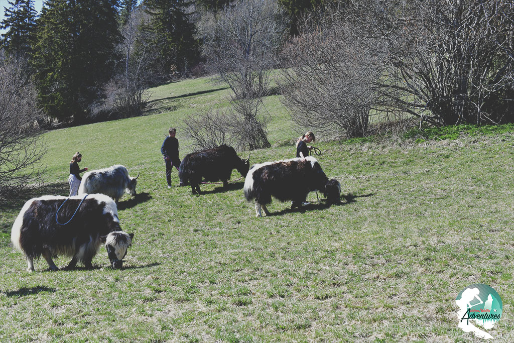 Package Rafting et Animaux Package Rafting et Animaux
